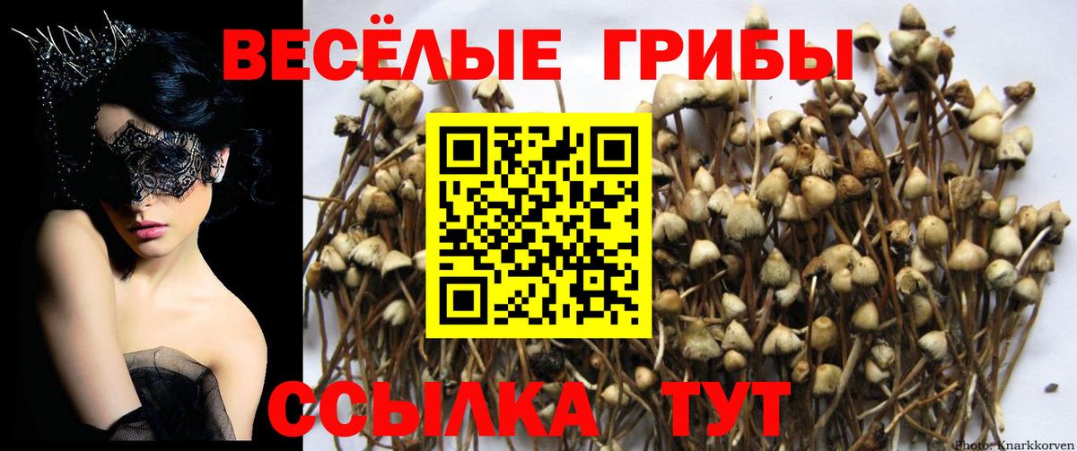 Псилоцибиновые грибы ЛСД Красноуфимск