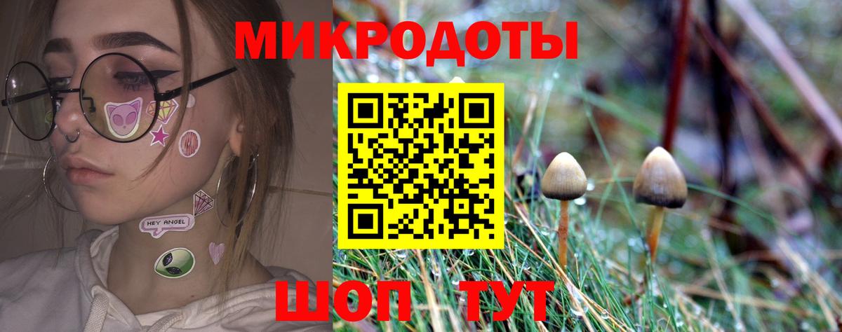 Красноуфимск  Псилоцибиновые грибы мицелий  Вход с VPN  Галлюциногенные грибы Psilocybine cubensis 